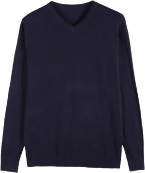 Autumn Men's Thin Knit Sweater Business Casual V-Neck Pullovers Classic Style Comfortable Slim Basic Sweater Purple